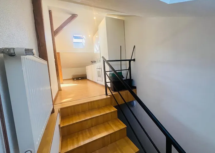 Le Petit - 401 Le Dream *